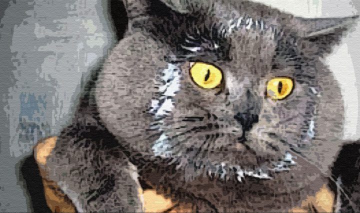 Кто сильнее?