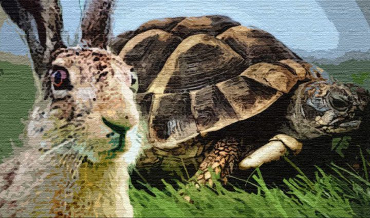 Заяц и черепаха
